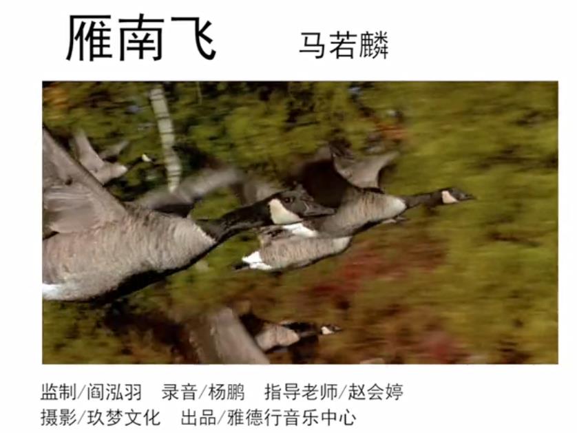 馬若麟——《雁南飛》